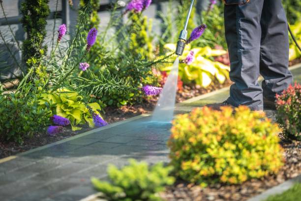 Best Concrete Surface Cleaning in Golden Meadow, LA