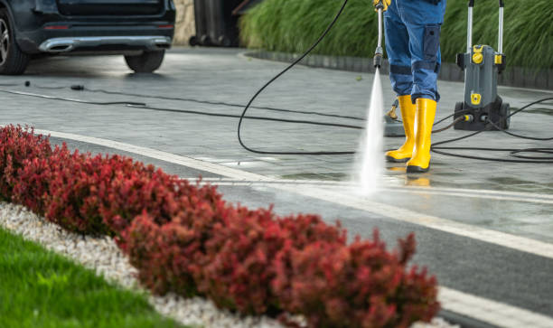 Best Parking Lot Cleaning in Golden Meadow, LA
